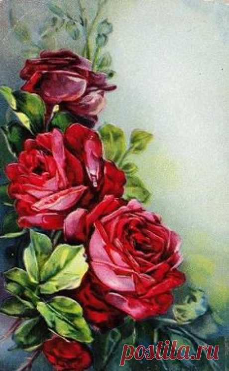 Hello my friends ... I hope you are having a lovely day…
