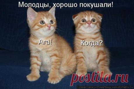 молодцы