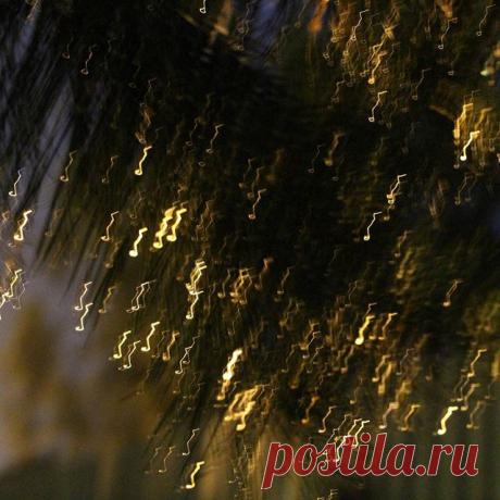 #ночь, #огни, #вспышки, #тени, #луна, #фото, #идемВместе  с #LeniArhangelskaya  ночные всполохи дождя.