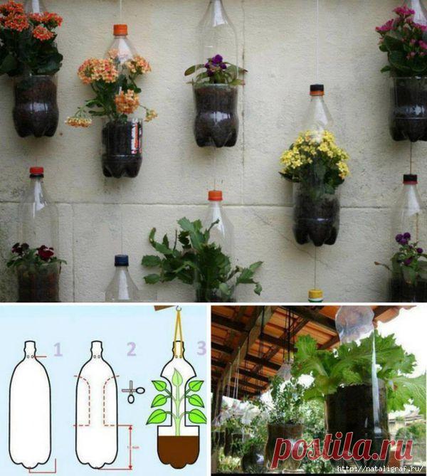 Подвесные кашпо...