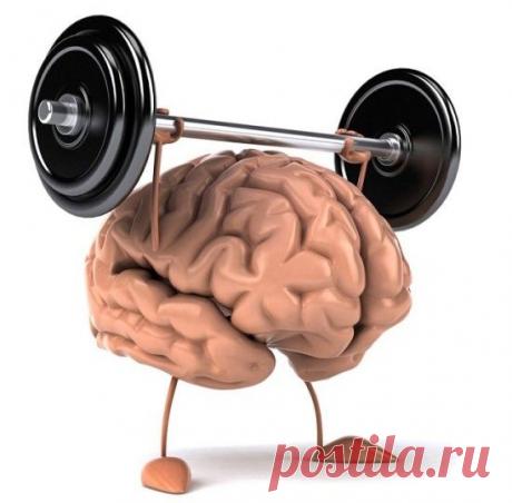 3 ленивых способа увеличить свою интеллектуальную силу - rastimul.com.ua