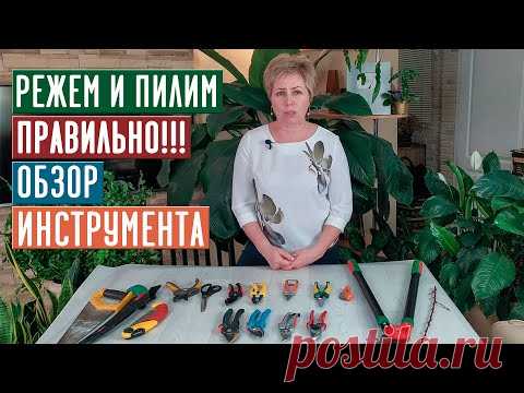 СЕЗОН 2020: ОБЗОР ИНСТРУМЕНТА ДЛЯ ОБРЕЗКИ САДА / Садовый гид