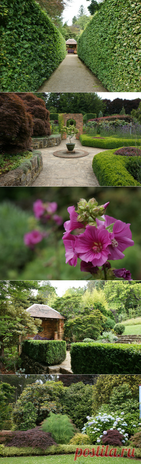 Cloudehill Gardens. Австралия. – Блог.ФАВ (Анатолий Фёдоров), пользователь Анатолий Федоров | Группы Мой Мир