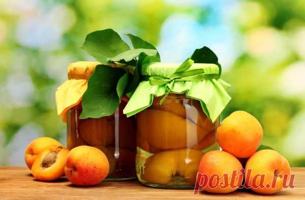 Вкусные рецепты