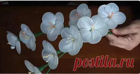 С помощью простого пакета и ножниц мастерица сделала красоту для дома