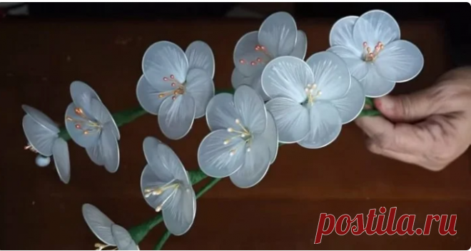 С помощью простого пакета и ножниц мастерица сделала красоту для дома