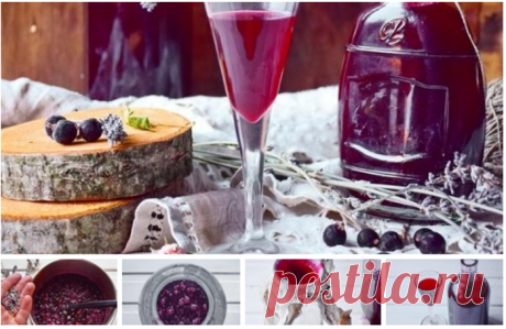 Рецепт наливки из чёрной смородины