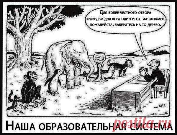 Развенчание мифов о необходимости школы – Ольга Юрковская – Блог – Сноб