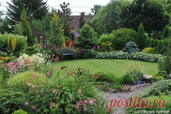 Сад Марковских под Питером | Сады и цветы | Яндекс Дзен