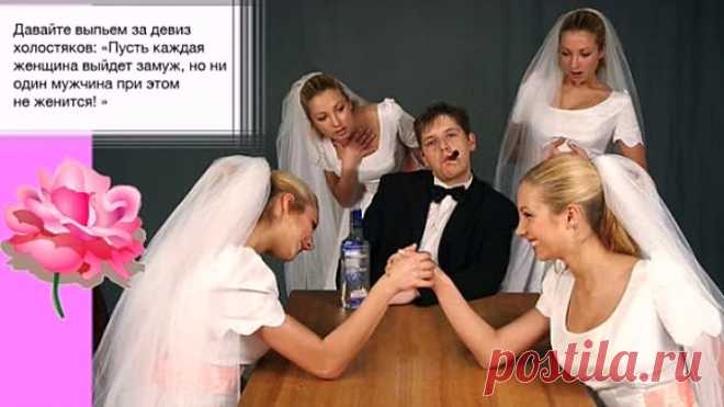 Гимн убеждённого холостяка