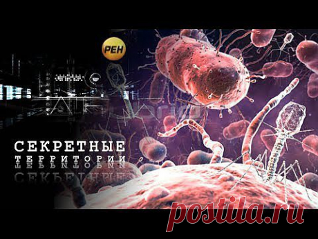 Секретные территории: Бактерии. Разум в микроскопе - 5 Января 2014 - НАША ПЛАНЕТА. Новости экологии