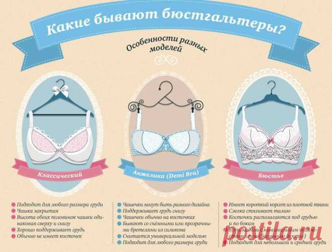 Какие бывают бюстгальтеры? Особенности разных моделей. Инфографика