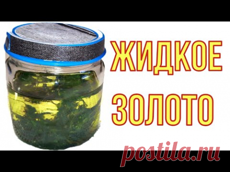 Лечебное крапивное масло помогает от многих заболеваний.