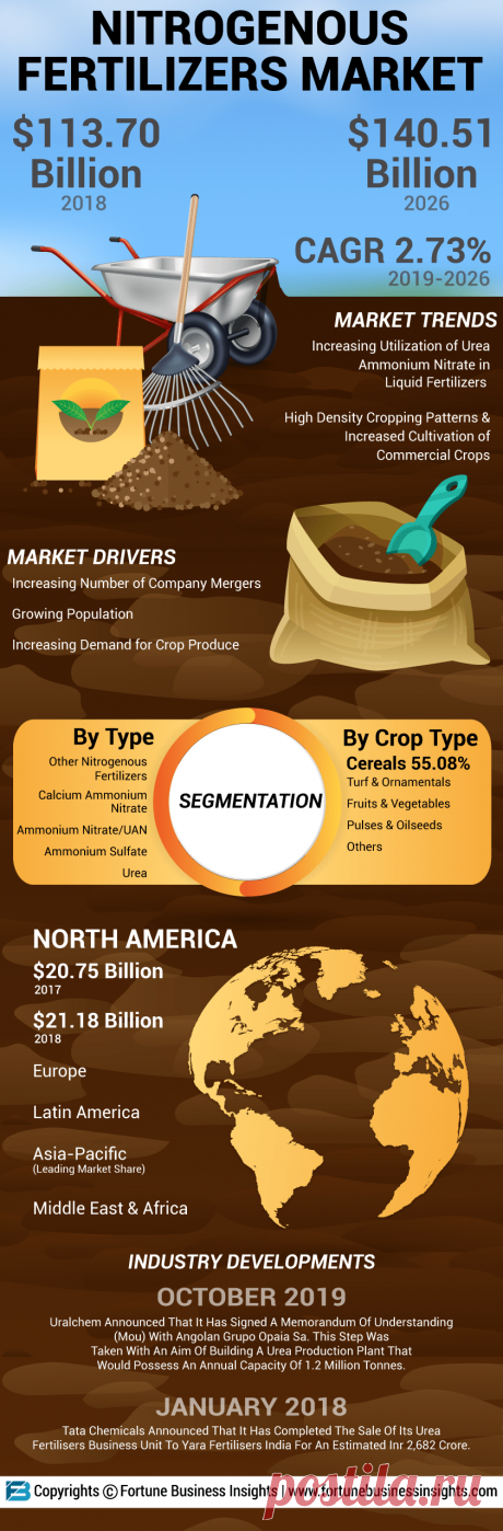 Infographics - Nitrogenous Fertilizers Market