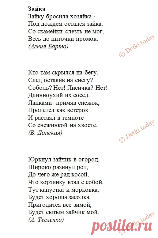 Картинки для детей - Заяц | Картинки Detki.today