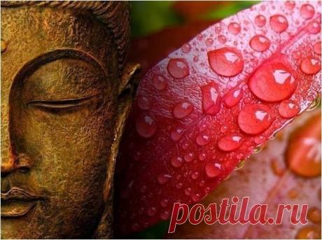 ДРЕВНИЙ РЕЦЕПТ МОЛОДОСТИ И КРАСОТЫ ИЗ ТИБЕТСКОЙ МЕДИЦИНЫ.