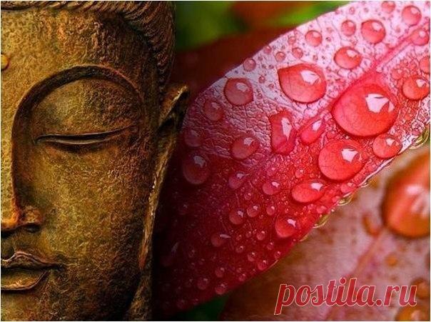 ДРЕВНИЙ РЕЦЕПТ МОЛОДОСТИ И КРАСОТЫ ИЗ ТИБЕТСКОЙ МЕДИЦИНЫ.