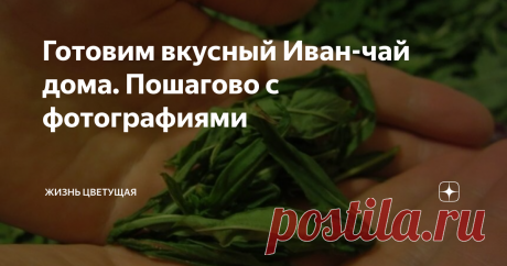 Готовим вкусный Иван-чай дома. Пошагово с фотографиями Сегодня я вам расскажу как мы заготавливаем иван-чай в домашних условиях. А потом радуемся этому замечательному напитку до следующего лета.  Чай получается насыщенным, бодрящим и очень ароматным! А еще он получается очень экономным (вам надо только собрать Кипрей и правильно его заготовить для чая), ;)
Кипрей, он же Иван-чай
Процесс заготовки чая
