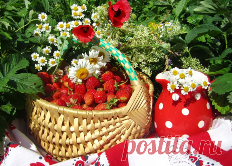 ВКУС ЛЕТА