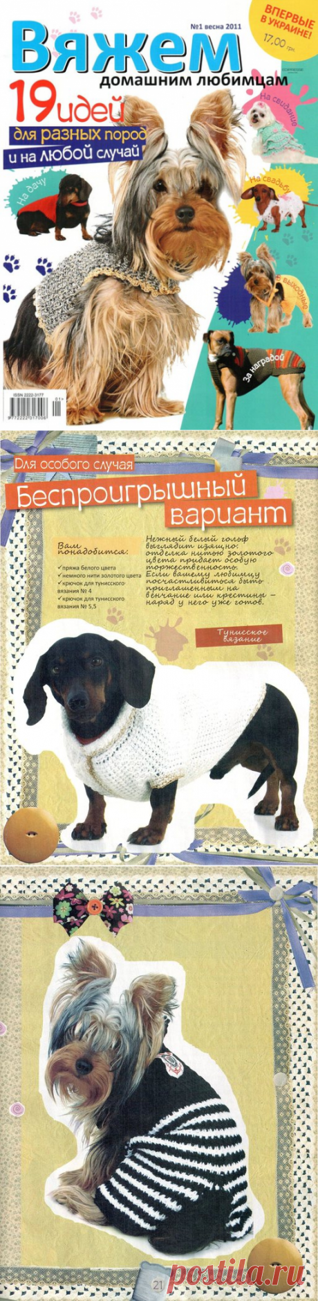 Вяжем домашним любимцам -1