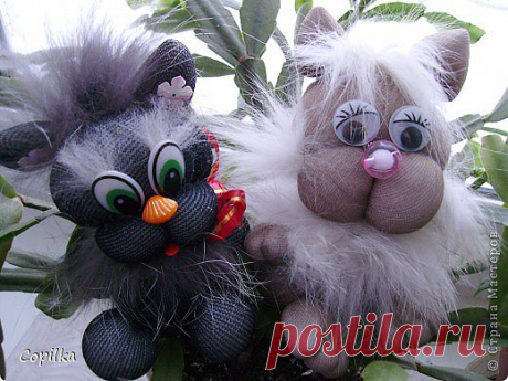 МК котятки-завязушки.
