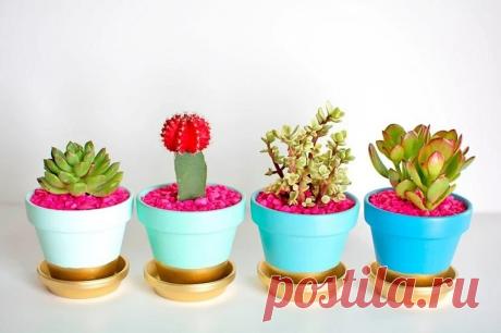 Как украсить цветочный горшок: 12 идей декора с инструкциями
Как красиво украсить цветочный горшок своими руками в домашних условиях — разные идеи и способы...
Читай дальше на сайте. Жми подробнее ➡