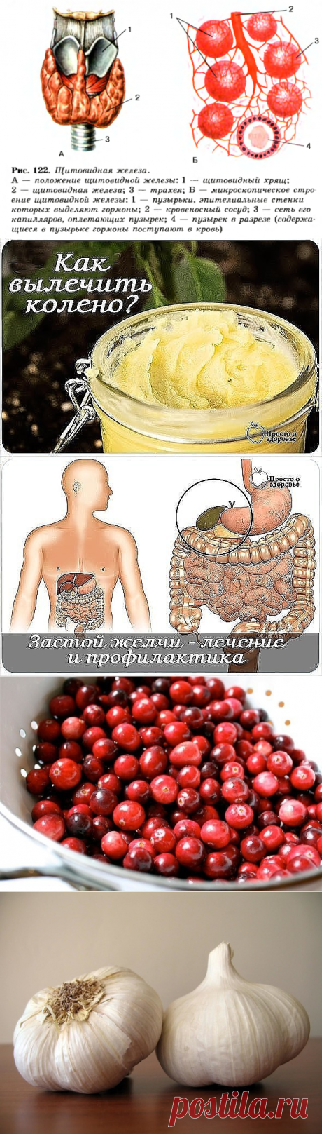 (53) Одноклассники