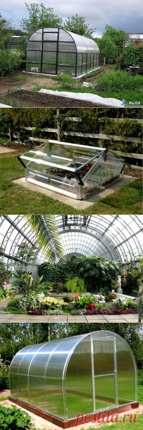 Парники и теплицы — в чем разница?