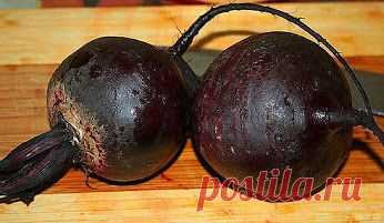 Софья – Google+