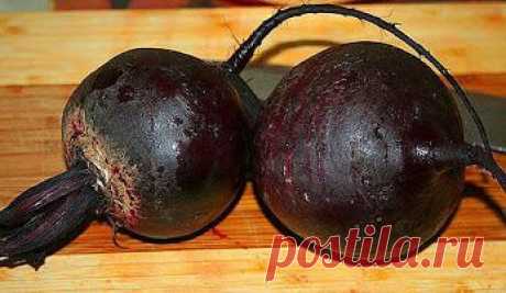 Софья – Google+