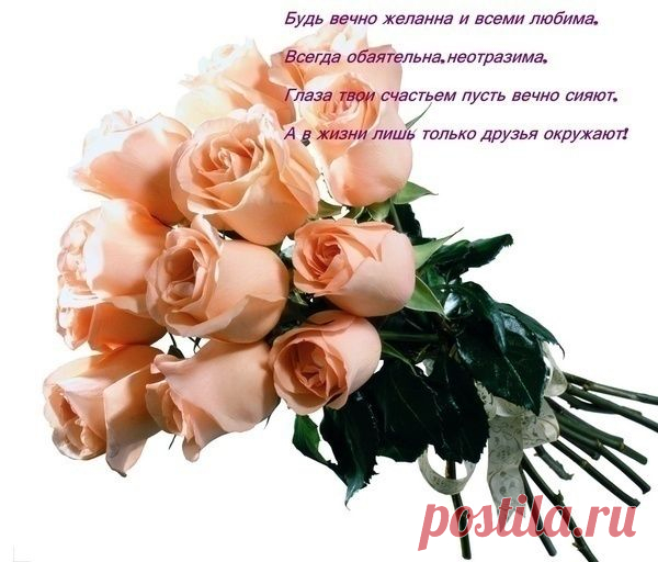 Владимир Шумихин - Сообщения / в Кругу Друзей - социальная сеть