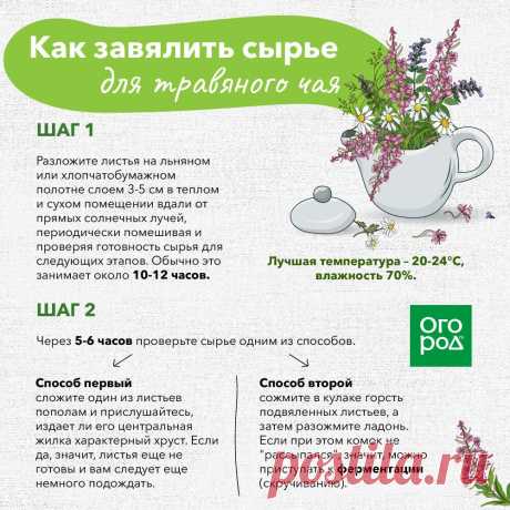 Как завялить сырье для травяного чая