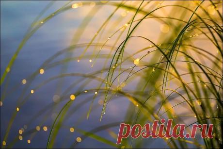 Укрепляем и оздоравливаем сердце.