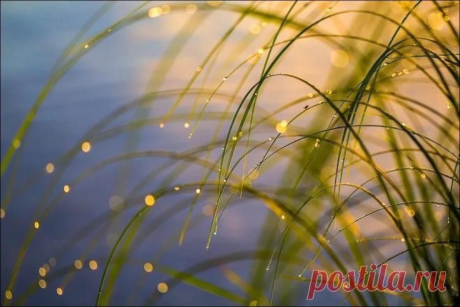 Укрепляем и оздоравливаем сердце.