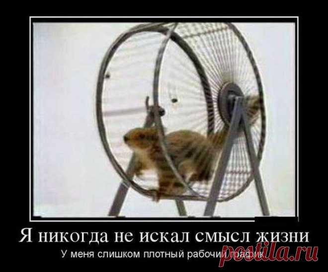 — Что вы делаете так поздно? — спросил Резерфорд.
— Работаю,— последовал ответ.
— А что вы делаете днем?
— Работаю, разумеется,— отвечал ученик.
— И рано утром тоже работаете?
— Да, профессор, и утром работаю,— подтвердил ученик, рассчитывая на похвалу из уст знаменитого ученого.
Резерфорд помрачнел и раздраженно спросил:
— Послушайте, а когда же вы думаете?