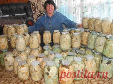 Бабушкины рецепты засолки груздей