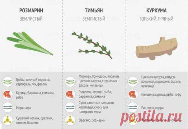 Как правильно использовать специи. На заметку.