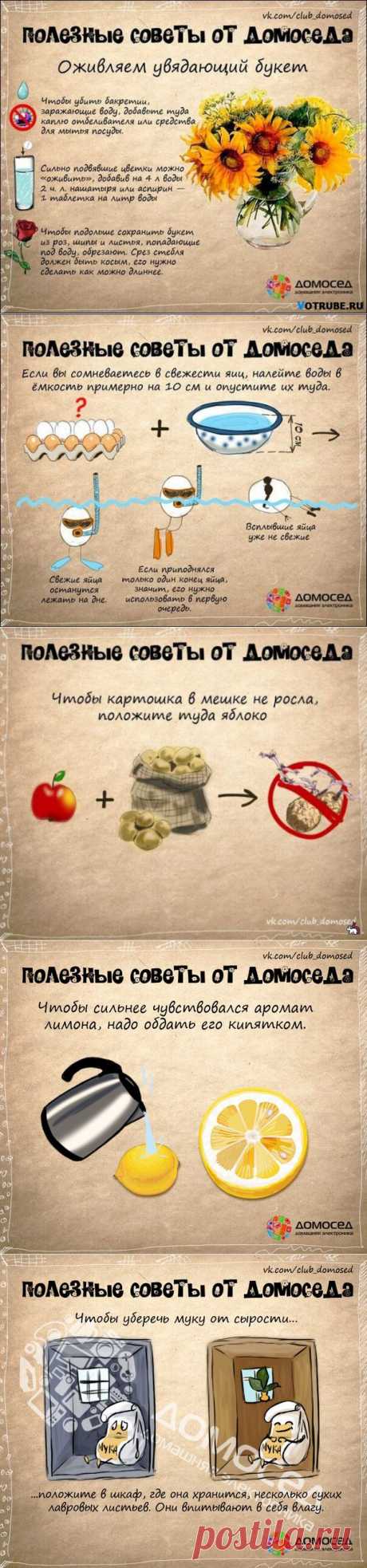 Советы от домоседа и не только. Просто и полезно!