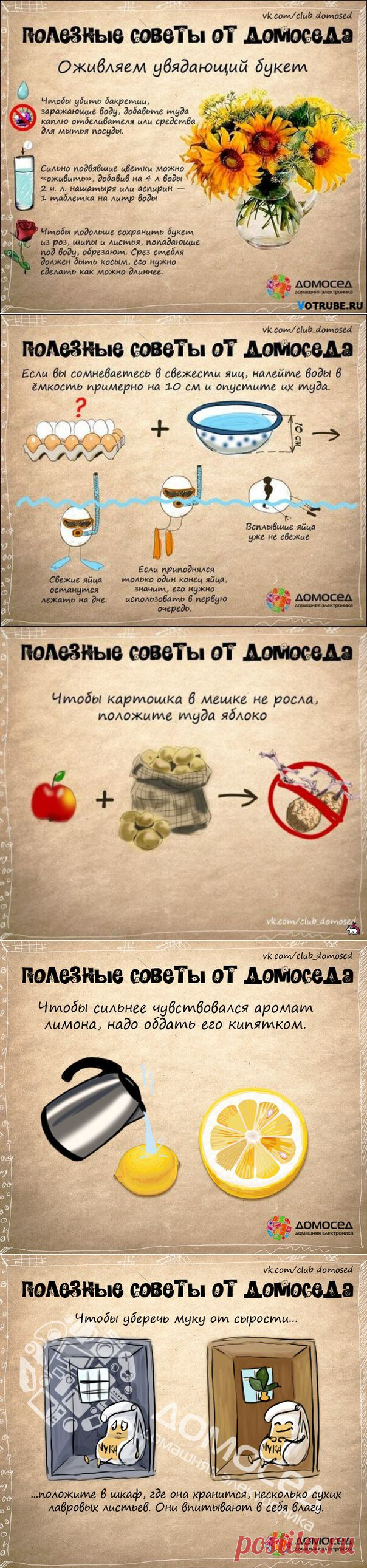 Советы от домоседа и не только. Просто и полезно!