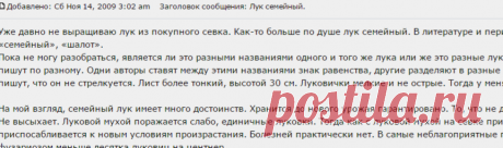 Подворье-Домоводство :: Просмотр темы - Лук семейный.