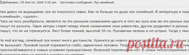 Подворье-Домоводство :: Просмотр темы - Лук семейный.