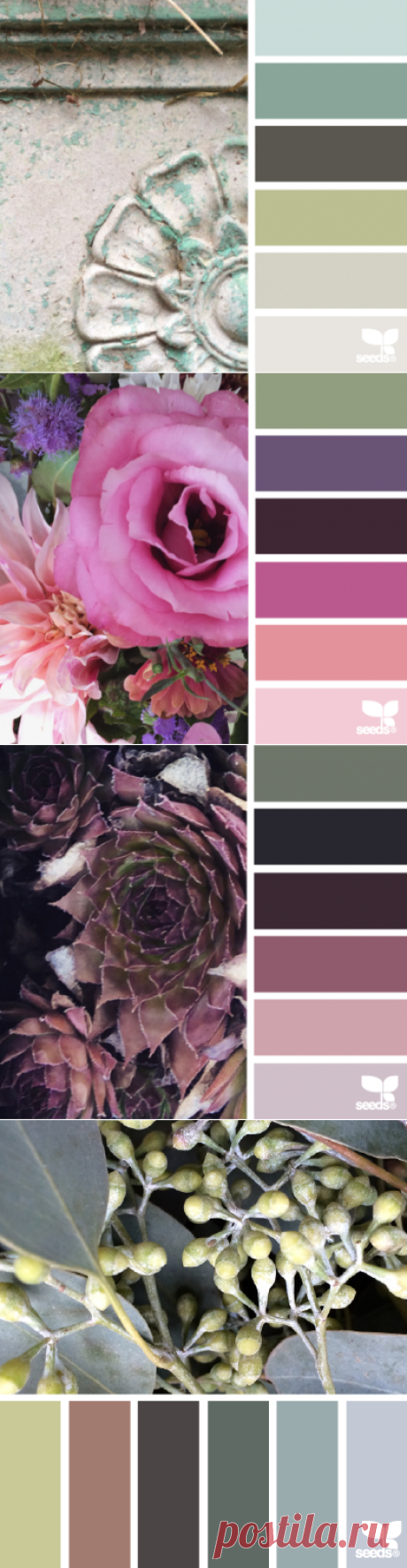 design seeds | for all who ♥ color