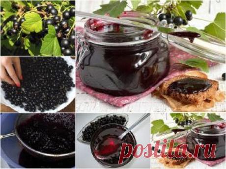 Желе на зиму из черной смородины 
Желе получается очень вкусным и хорошо хранится.
Аналогичным способом можно приготовить желе из красной смородины. 
Ингредиенты: 
- 1 кг черной смородины,
- 1,5 кг сахара,
- 200 мл воды. 
Приготовление: 
1. Ягоды перебрать, удалить веточки и листья. 
2. Всыпать чистые ягоды в емкость для варки. Влить 200 мл воды. Довести до кипения и варить в течении нескольких минут. 
3. Протереть ягоды через сито. 
4. Перемешать протертые ягоды с сахаром...
