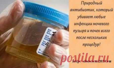 Природный антибиотик, который убивает любые инфекции мочевого пузыря и почек всего после нескольких процедур! | Всё для Тебя  Существует метод лечения этих инфекций совершенно естественным образом: Инфекции мочевого пузыря или мочевыводящих путей могут быть крайне неприятными, болезненными, и длительными. Двумя наиболее распространенными симптомами этих инфекций являются частые позывы к мочеиспусканию, а также чувство жжения во время мочеиспускания. Они наиболее часто встр...