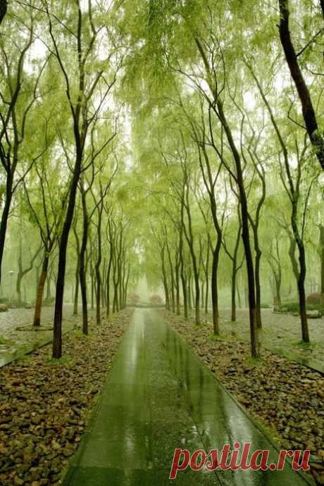 фото природы | Записи в рубрике фото природы | Дневник галина_любушкина