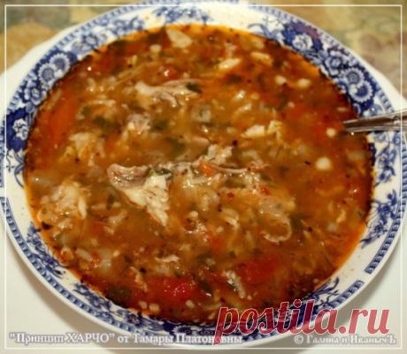 Суп "Харчо" – кулинарный рецепт