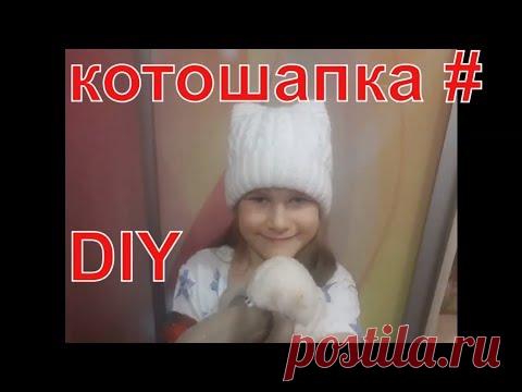 вязаная шапка кошка своими руками мк  diy