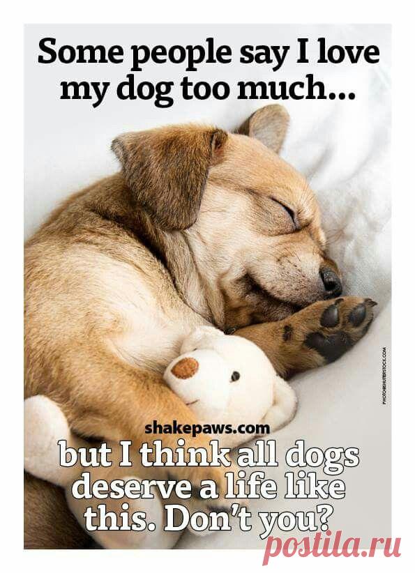 funny stuff - Google Search