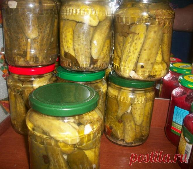 Огурцы как "Болгарские "