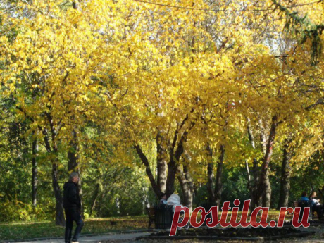 (+1) - Екатеринбург в объятиях ЗОЛОТОЙ ОСЕНИ, | Фотоискусство